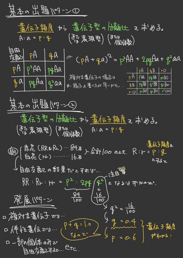 【86】遺伝子頻度 | SOIL-SHOP生物教材製作所/自習室