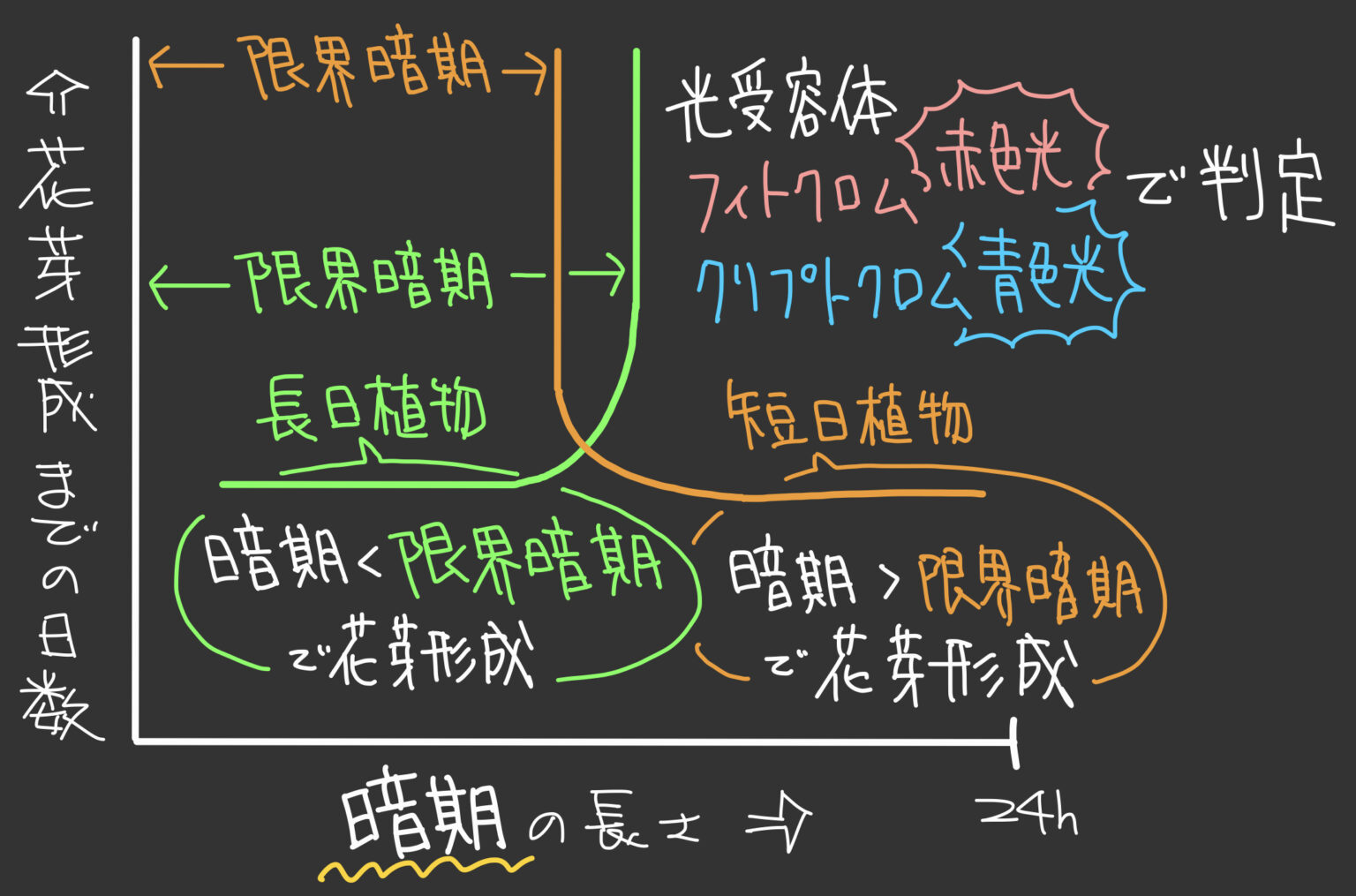 【101】日長と花芽形成 | SOIL-SHOP生物教材製作所/自習室